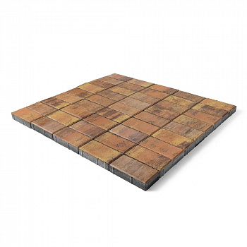 Плитка тротуарная Прямоугольник Color Mix Прайд h40 200х100 — Grandline